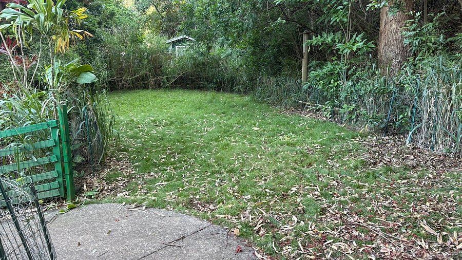 Fenced Back Yard