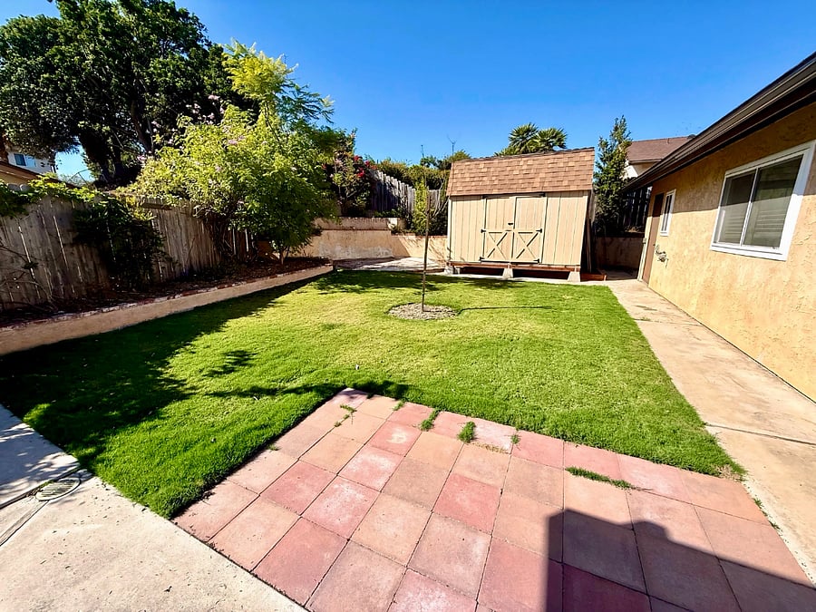 Backyard and storage shed