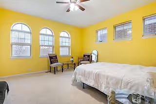 Furnished Finder property 952801_1 photo 6