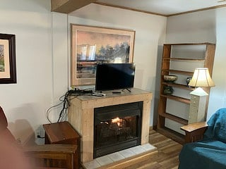 Detail view of the fireplace, smart TV, and shelving with useful pottery.