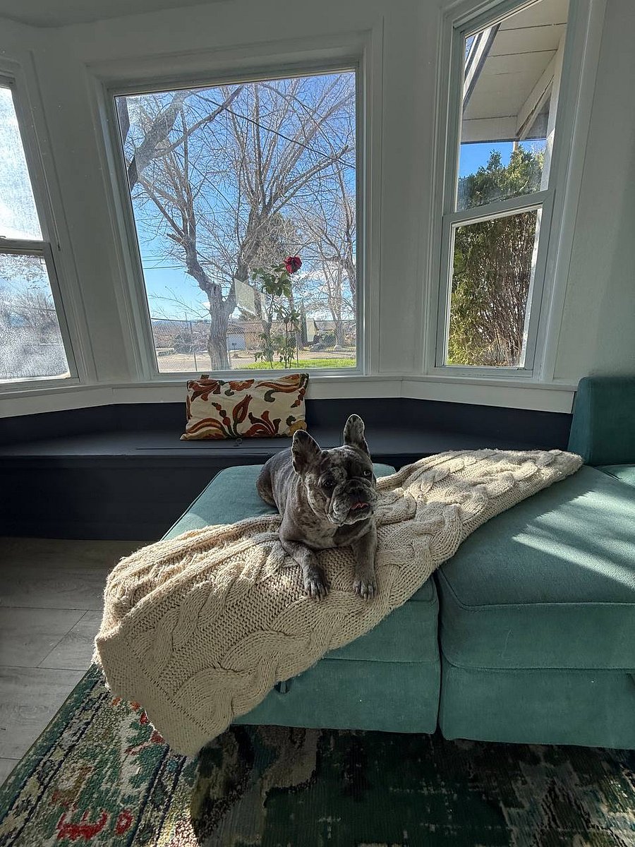 Sunny lounge seating ideal for relaxing and pet friendly