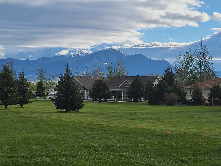 Backyard view of Bridgers