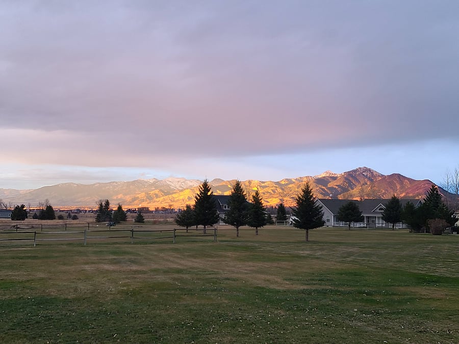 Backyard view of Bridgers 2