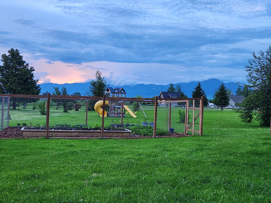 Backyard view of garden