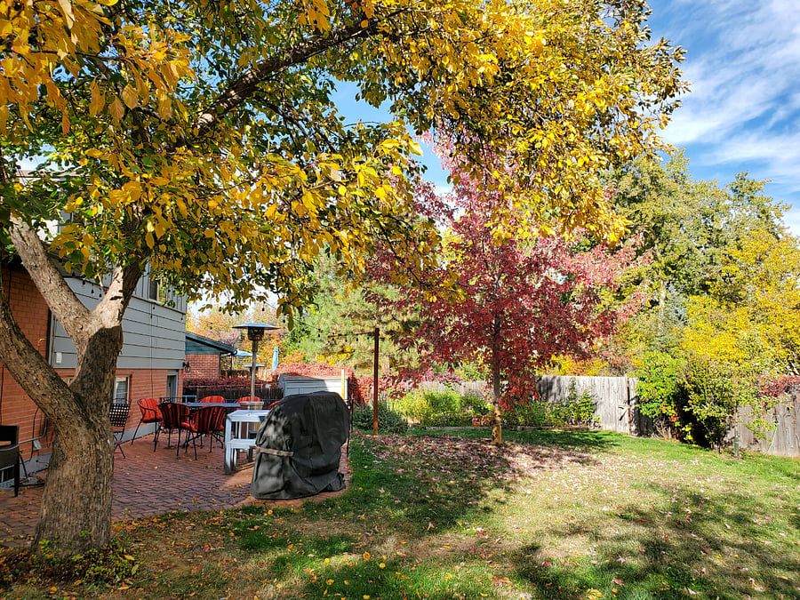 Furnished Finder property 952981_1 photo 8