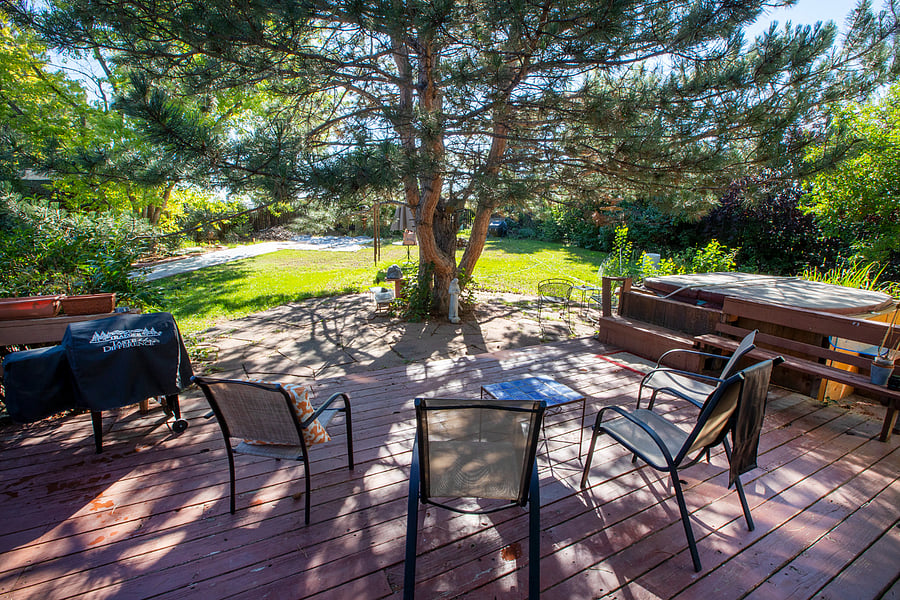 Backyard
