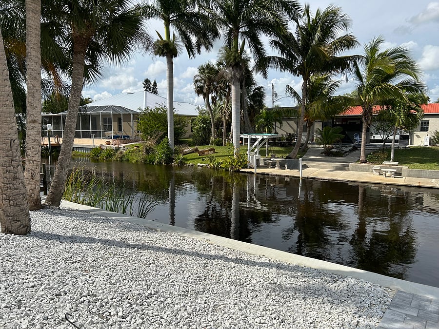 Views of palms and the river/canal