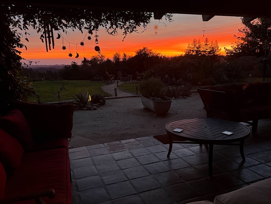 Patio View