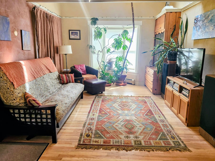 Living room with Queen futon couch/bed