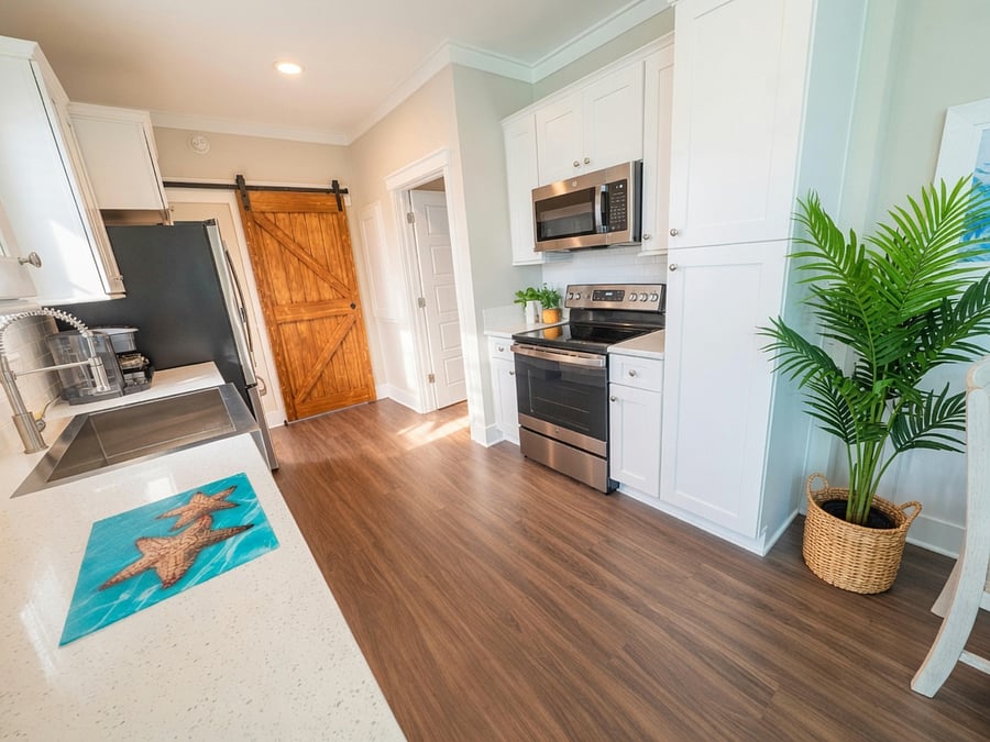 Kitchen and barn door