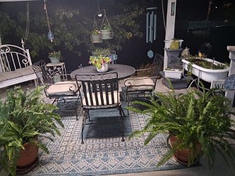 Back patio shared with homeowner
