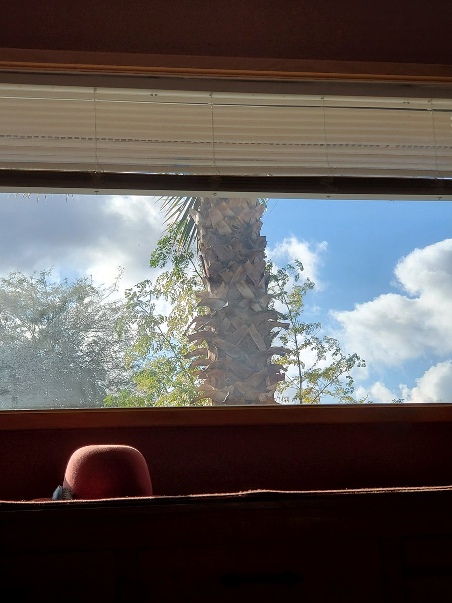 View from couch