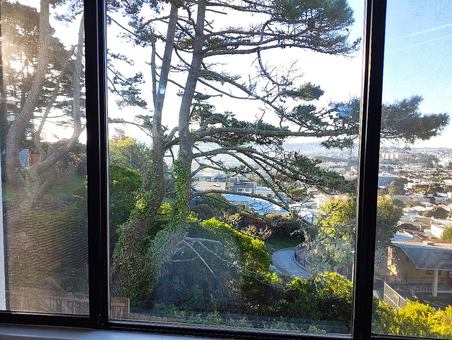 view of the park from the bedroom