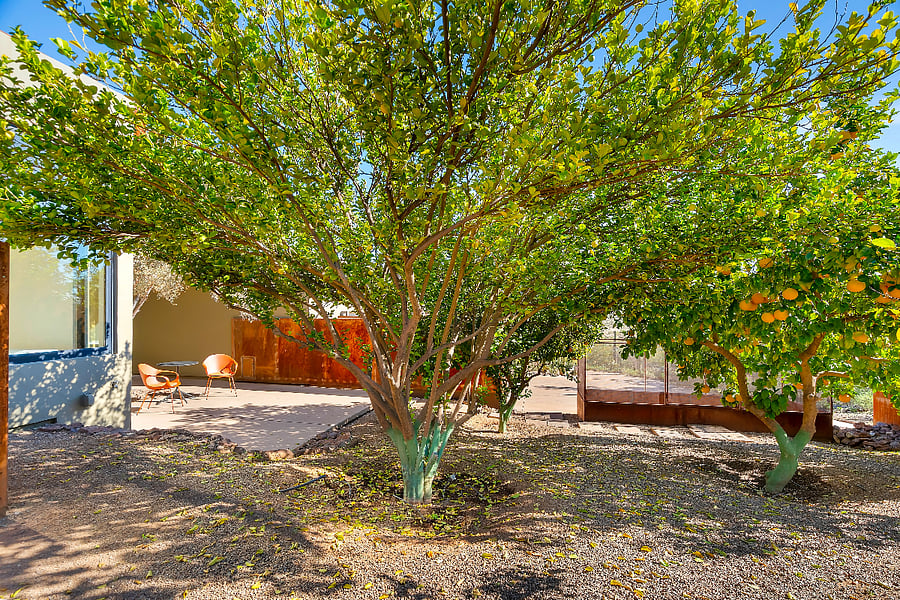 Private outdoor courtyard shaded by mature desert trees with seating for quiet mornings or evening drinks.