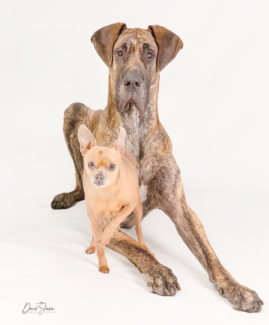 Torvi and Lucy