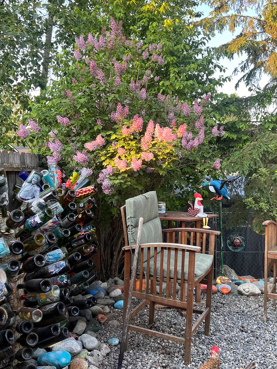 Fun colorful backyard. The chickens can be pests!