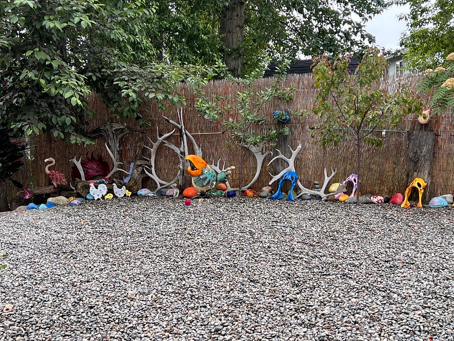 Colorful summer backyard :)