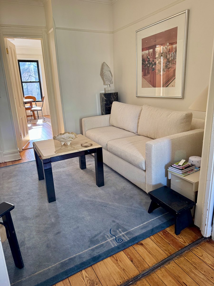 Brand new queen sized pull out couch in the living room