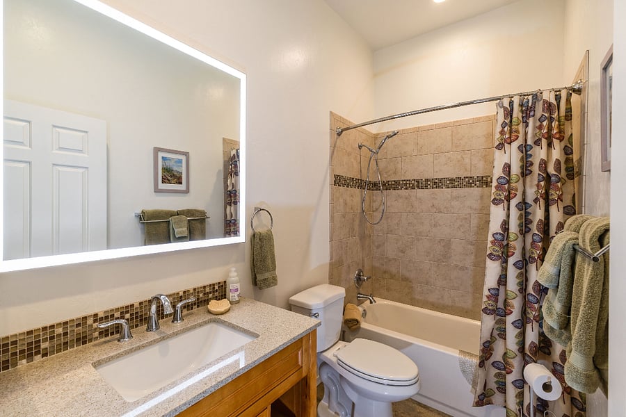 Hall bathroom with tub/shower, medicine cabinet, skylight, lots of hooks for hanging