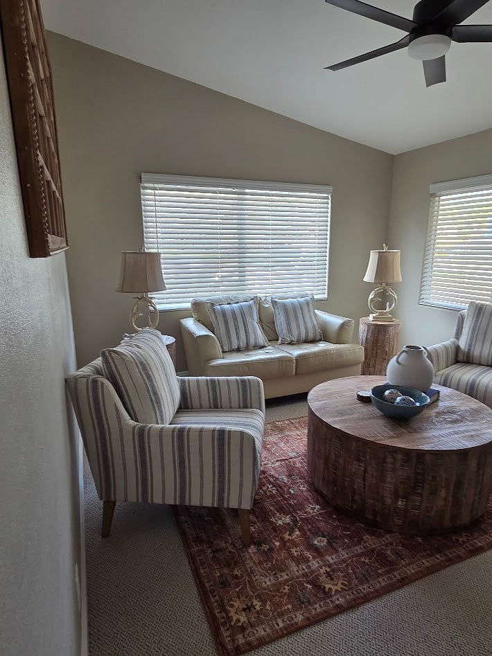 TV Room Den
