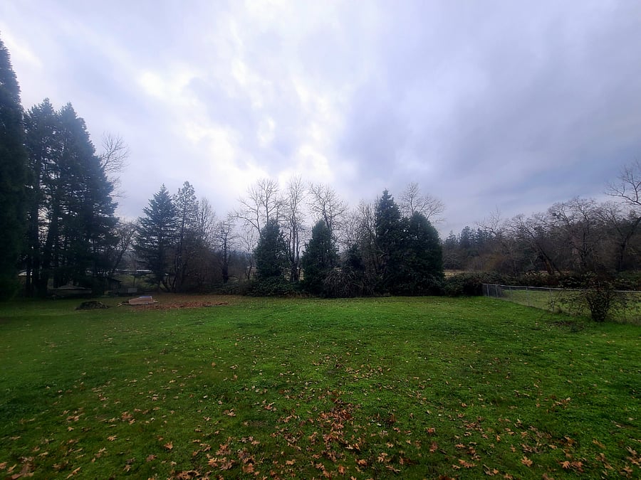 View from the deck towards the creek.