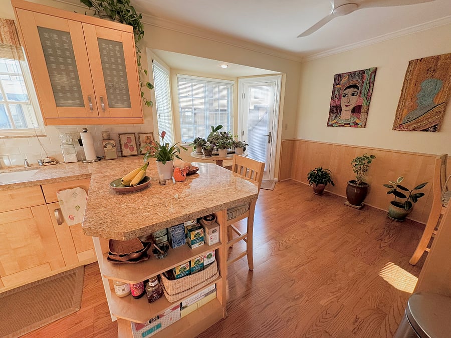 The kitchen gets a lot of natural light. The African violets, orchids and the other plants love it there. 