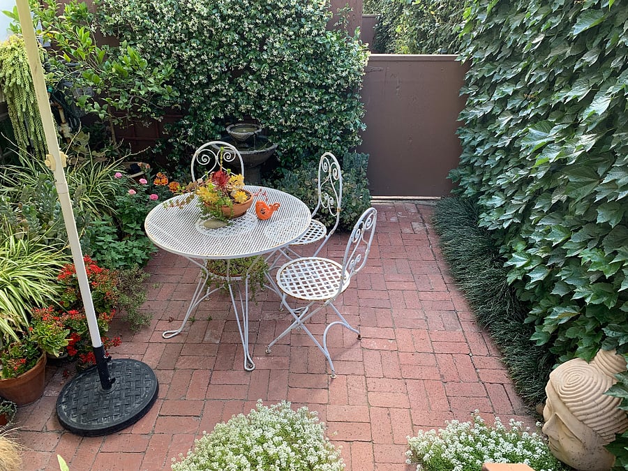 The patio in June. When the star jasmine is blooming, it will fill your room with perfume if you leave the windows open.