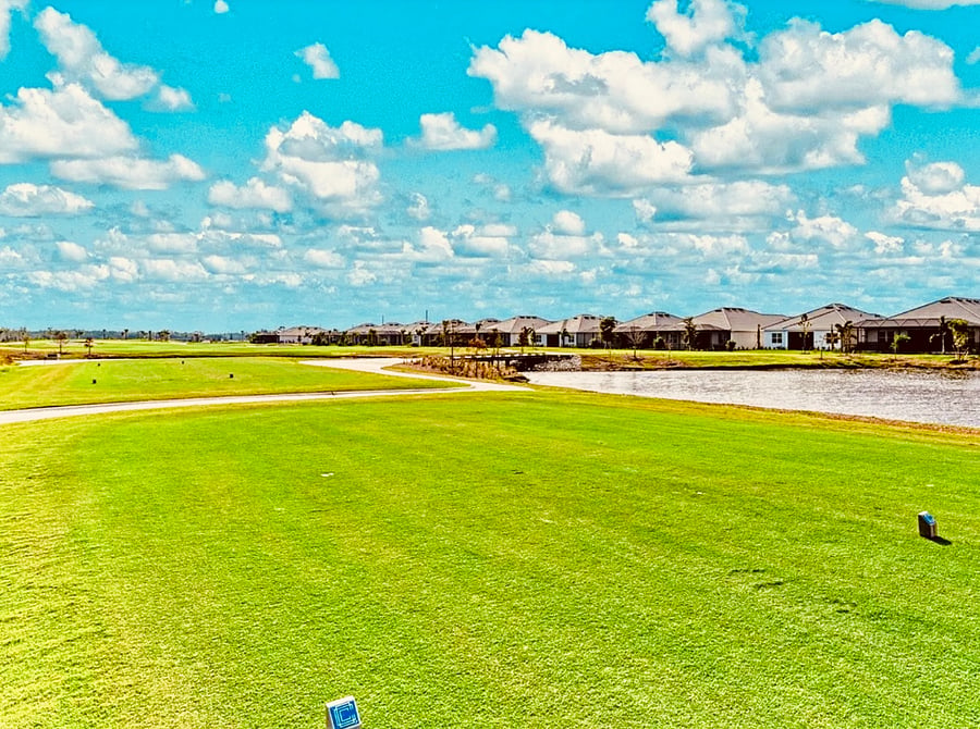 Backyard on Hole #2
