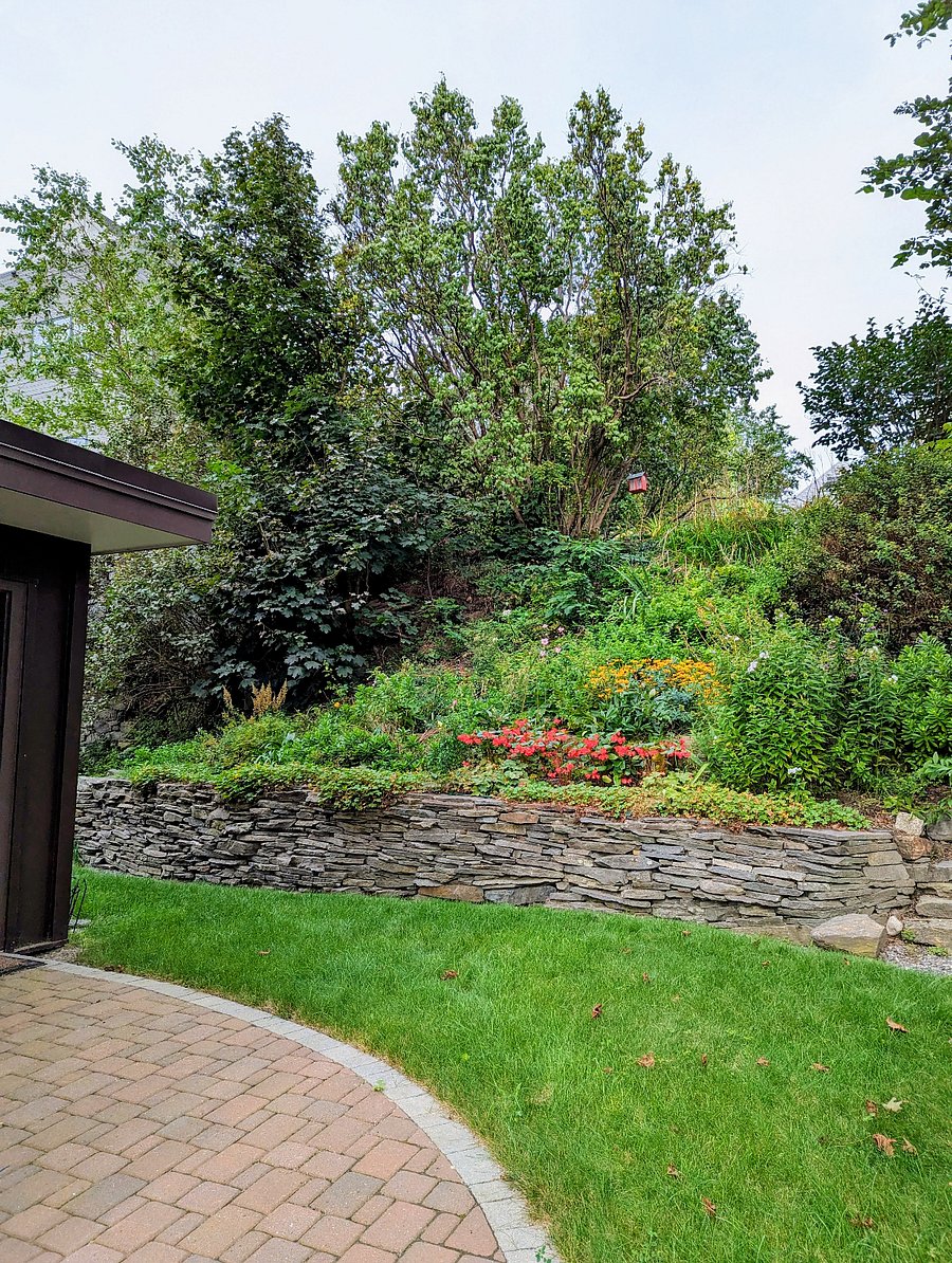 Portion of the shared back yard with pleasant sitting area.