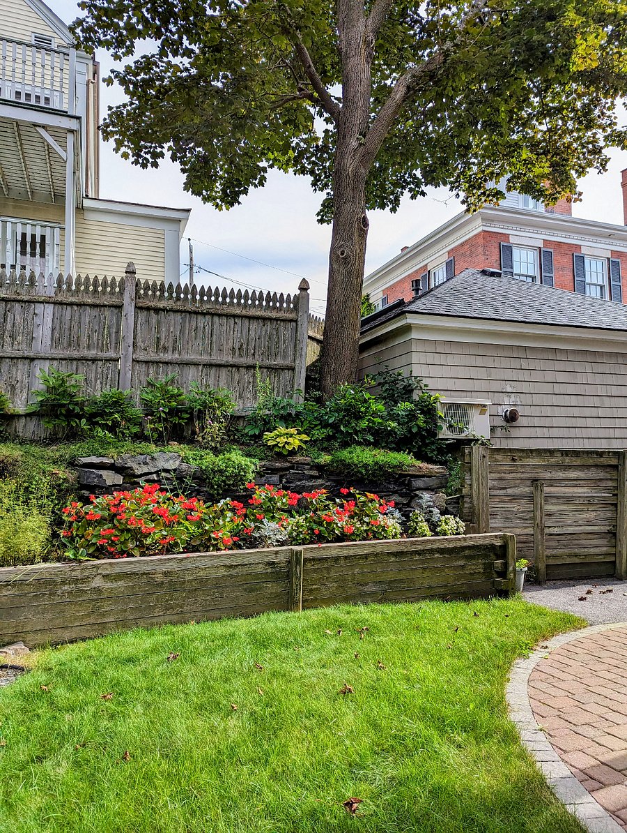 Another portion of the shared back yard in early summer.