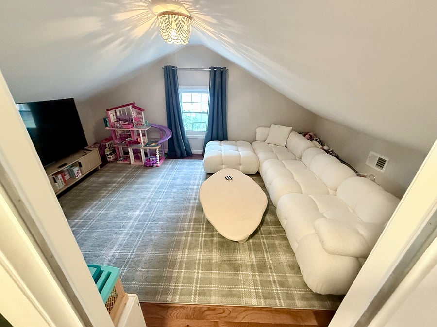 PLAYROOM/FLEX ROOM