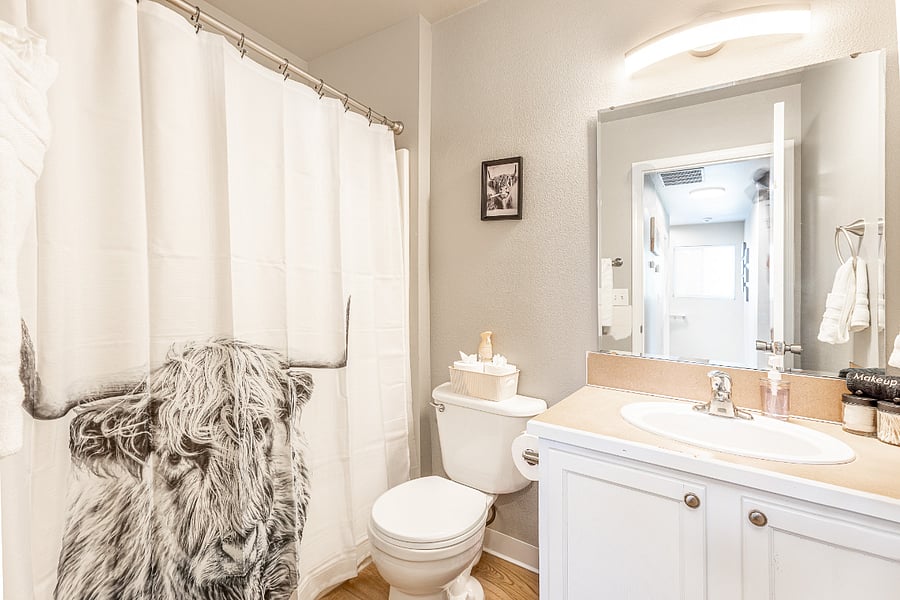 Main Bathroom