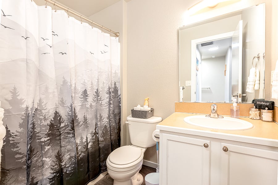 Main Bathroom
