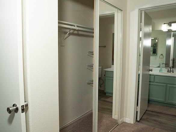Master Bedroom Closet #1