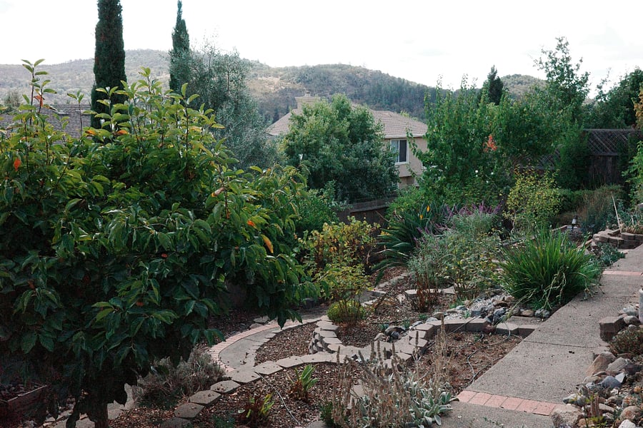 Backyard Photo 3 of 10: The Full View