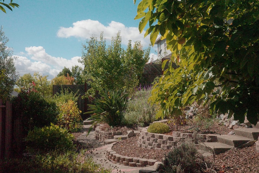 Backyard Photo 4 of 10: The Lower Levels