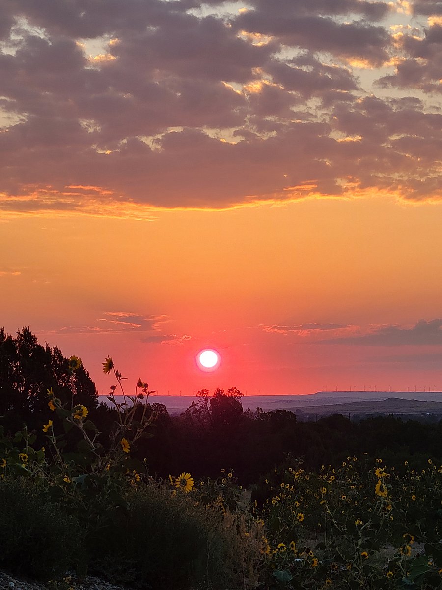 Typical morning sunrise from BDP & Casita.