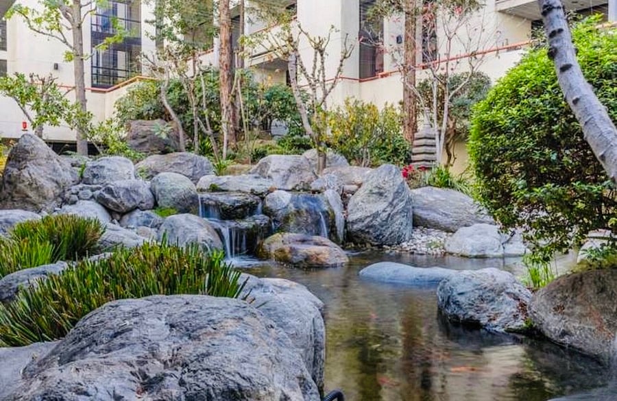 Japanese Garden, waterfalls and Koi Fish