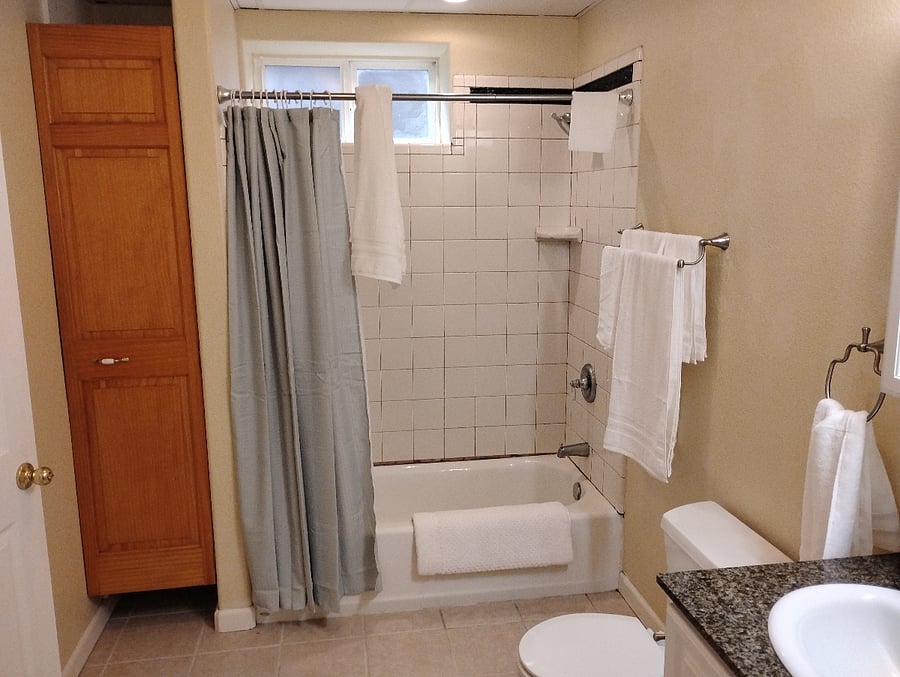Lower level bathroom