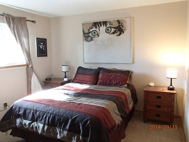 Second bedroom that is especially attractive to those who like cats.  An electric blanket under the bed sheets provides extra warmth.