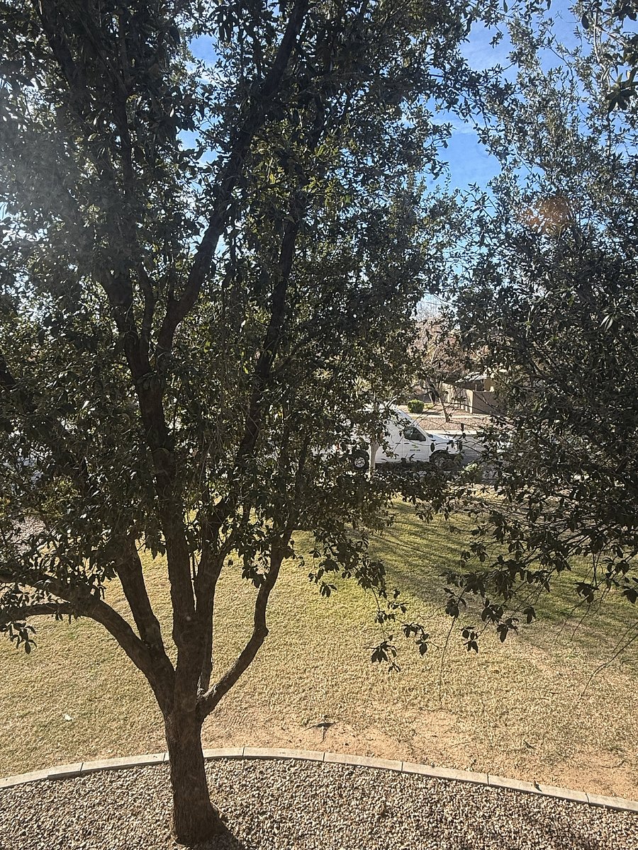 View from room window