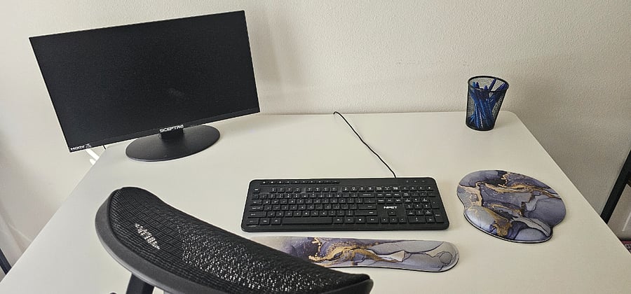 Main bedroom - work area with 1 monitor