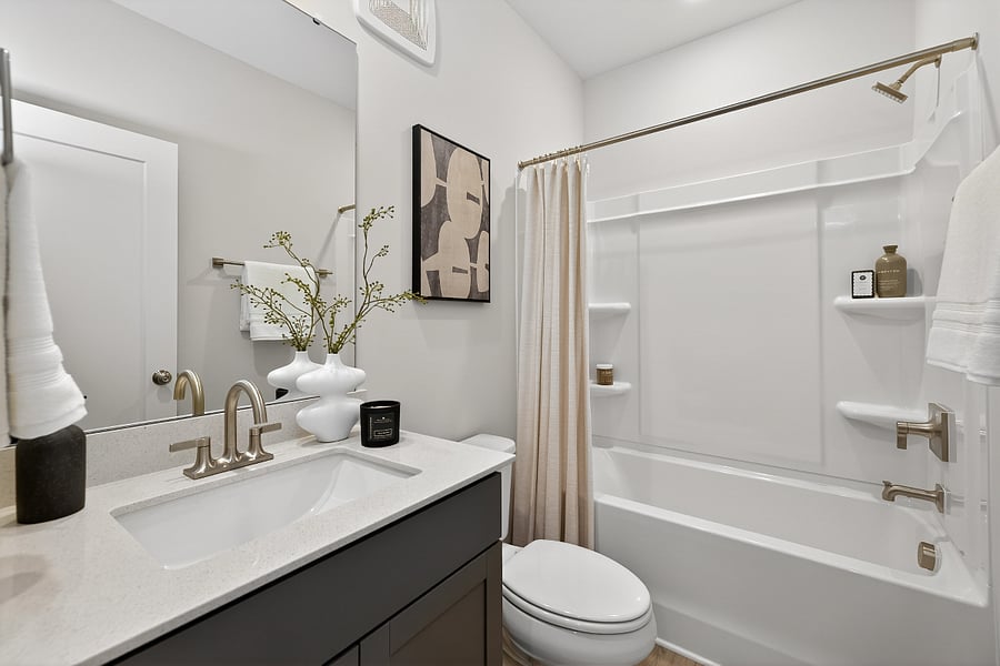 Bathroom for Bedrooms #2 and #3