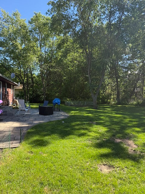 Furnished Finder property 955332_2 photo 22