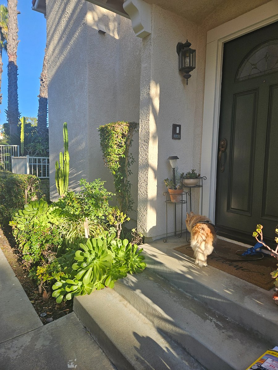 Just a few steps to the front door.