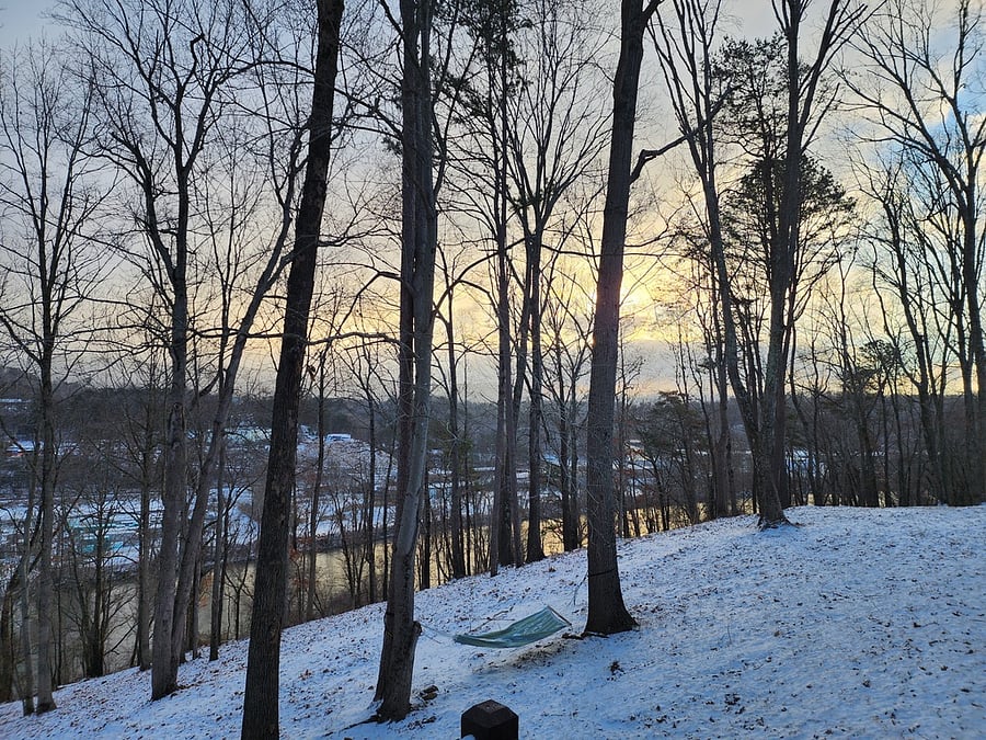 Winter scene