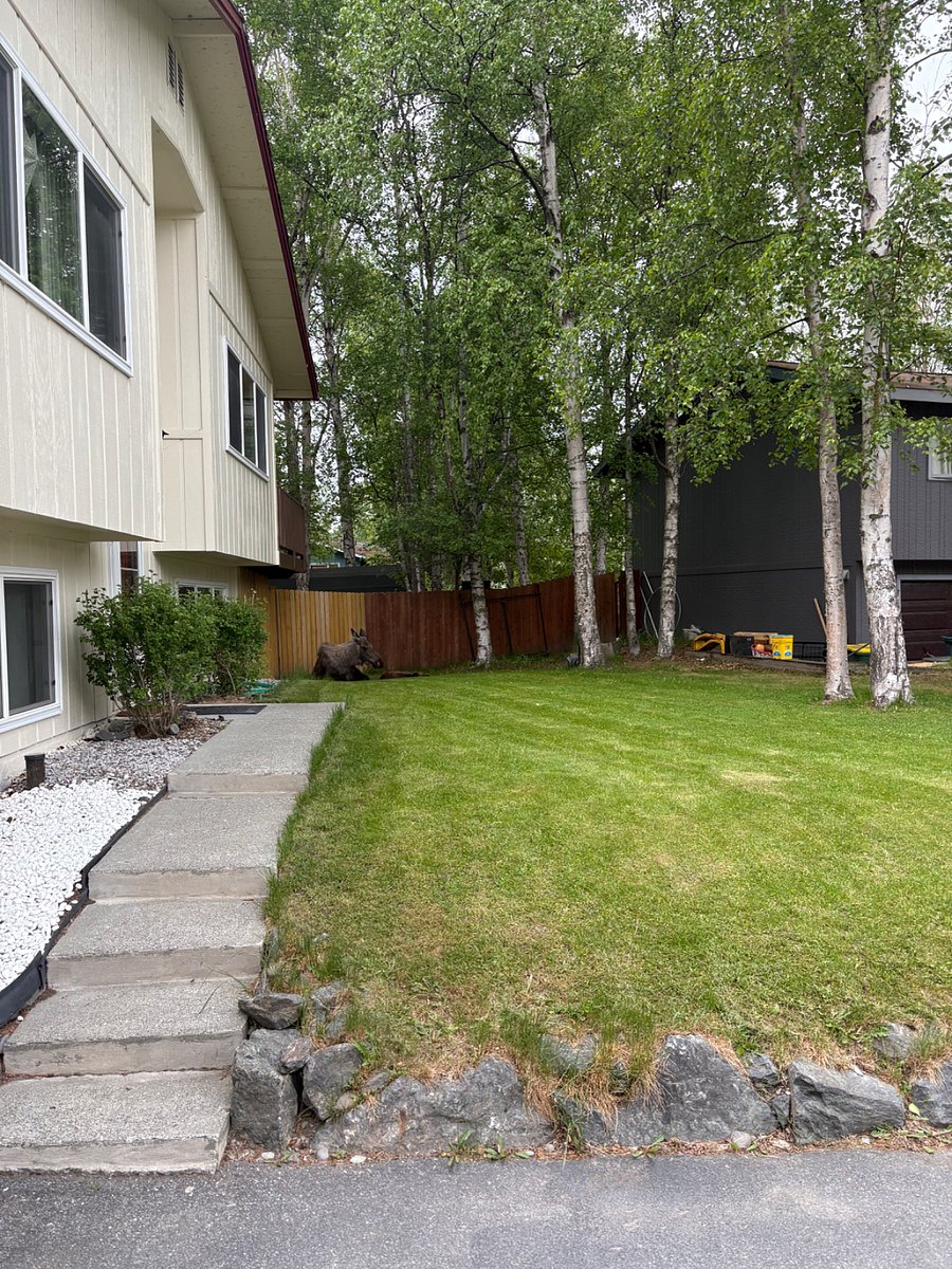 Furnished Finder property 955528_1 photo 15
