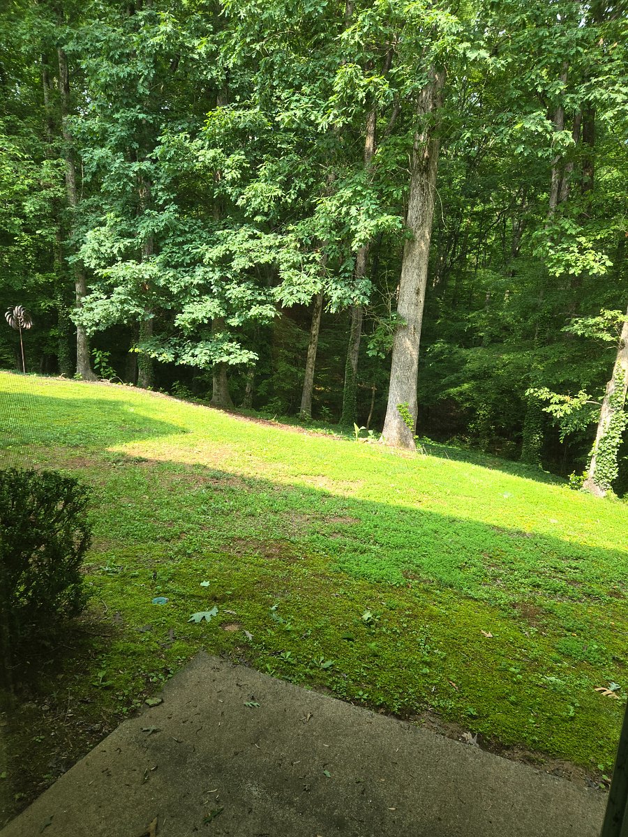 View outside from bedroom