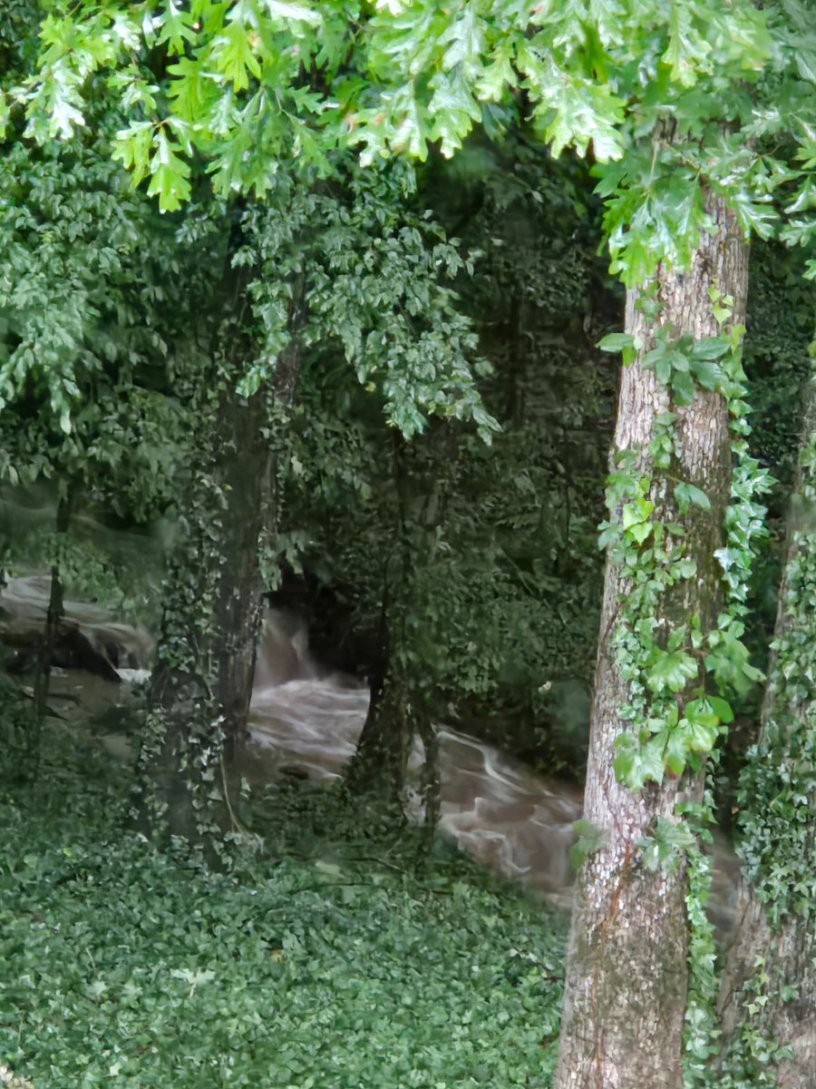 Brook at bottom of hill