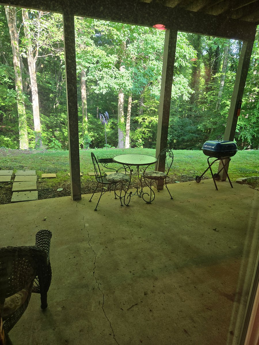 Patio overlooking back yard